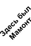 Mammonth